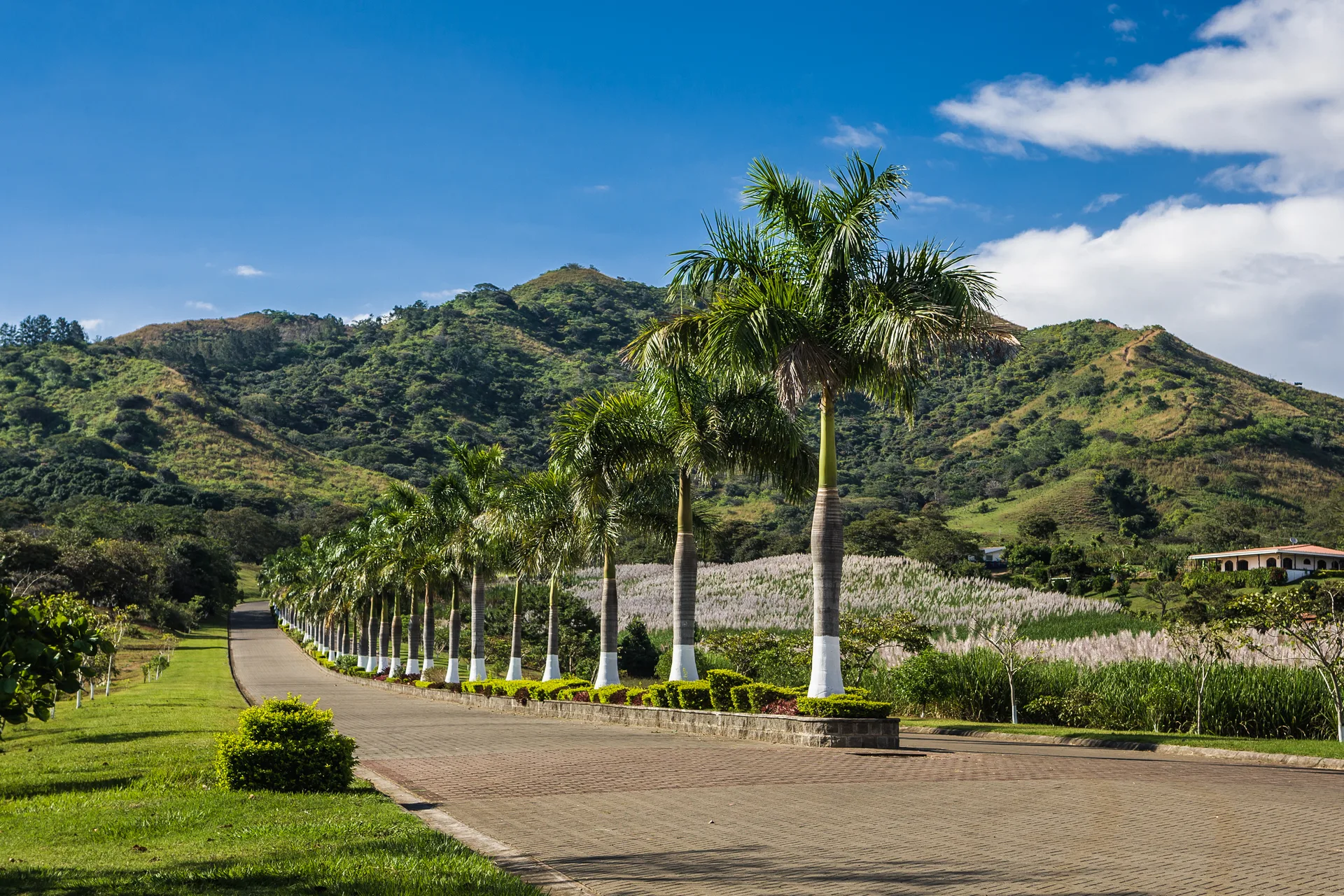 Entrada principal
